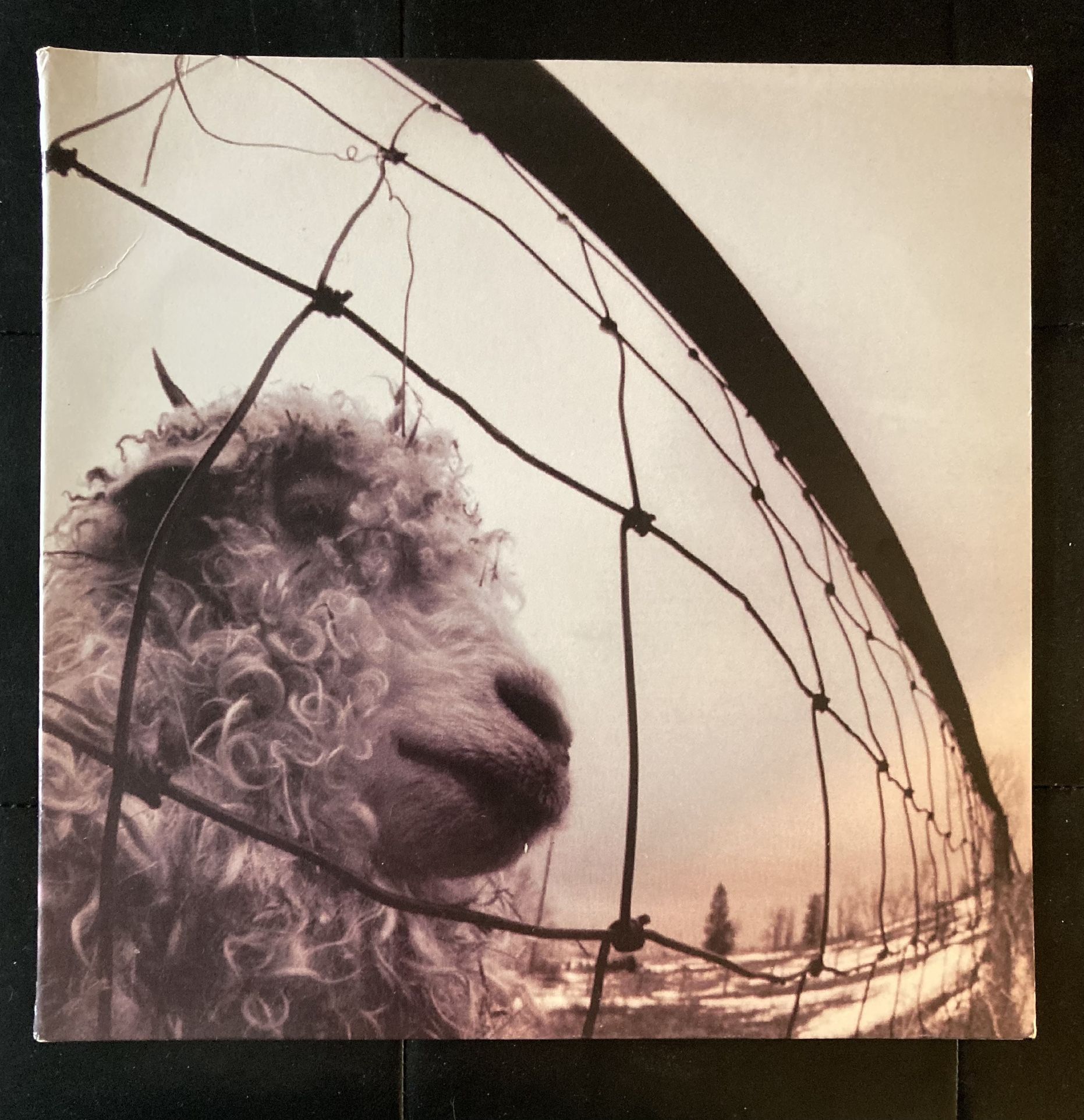 Vs by Pearl Jam Vinyl LP First US Pressing