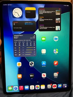 iPad