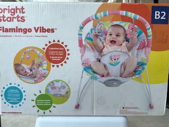 Bright starts Vibrating Baby Bouncer