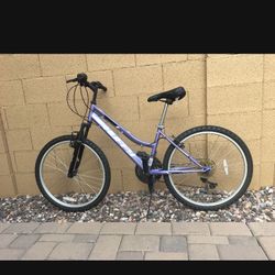 Trek Mountain Bike 