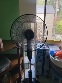 Tall black fan