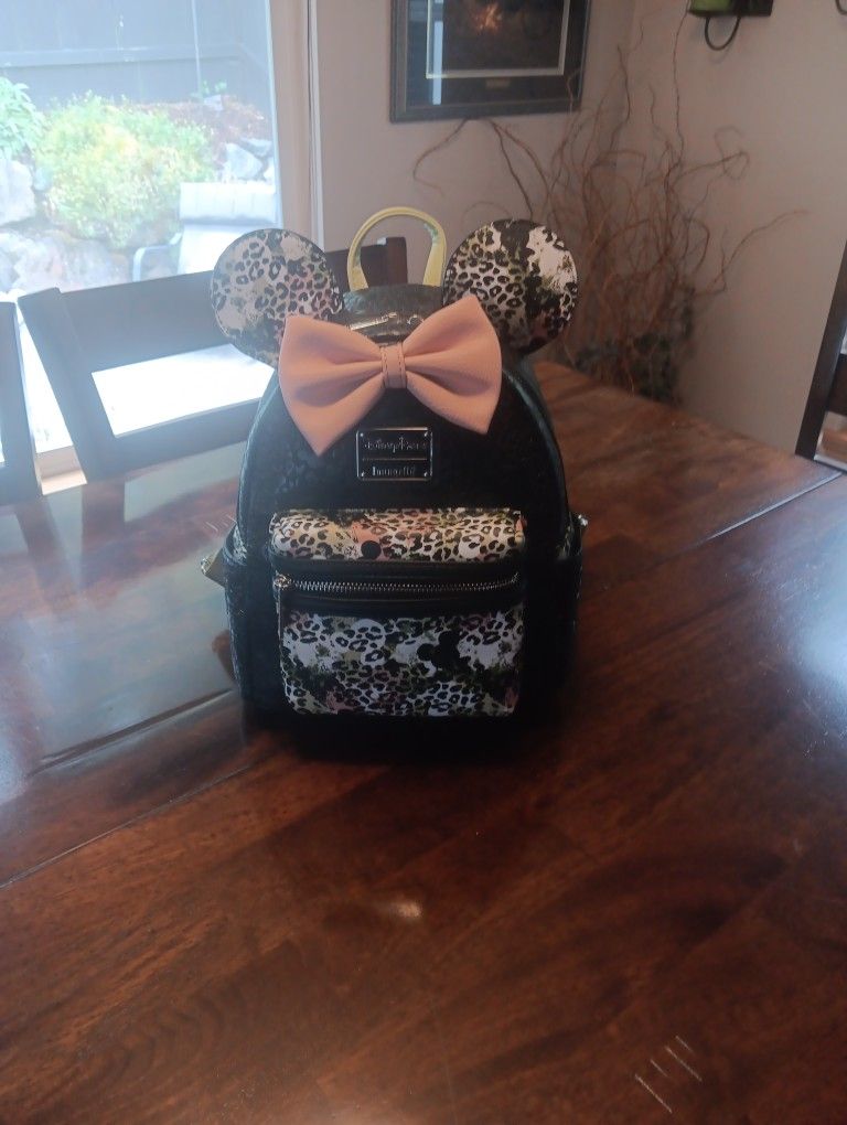 DisneyWorld Purse/ Backpack