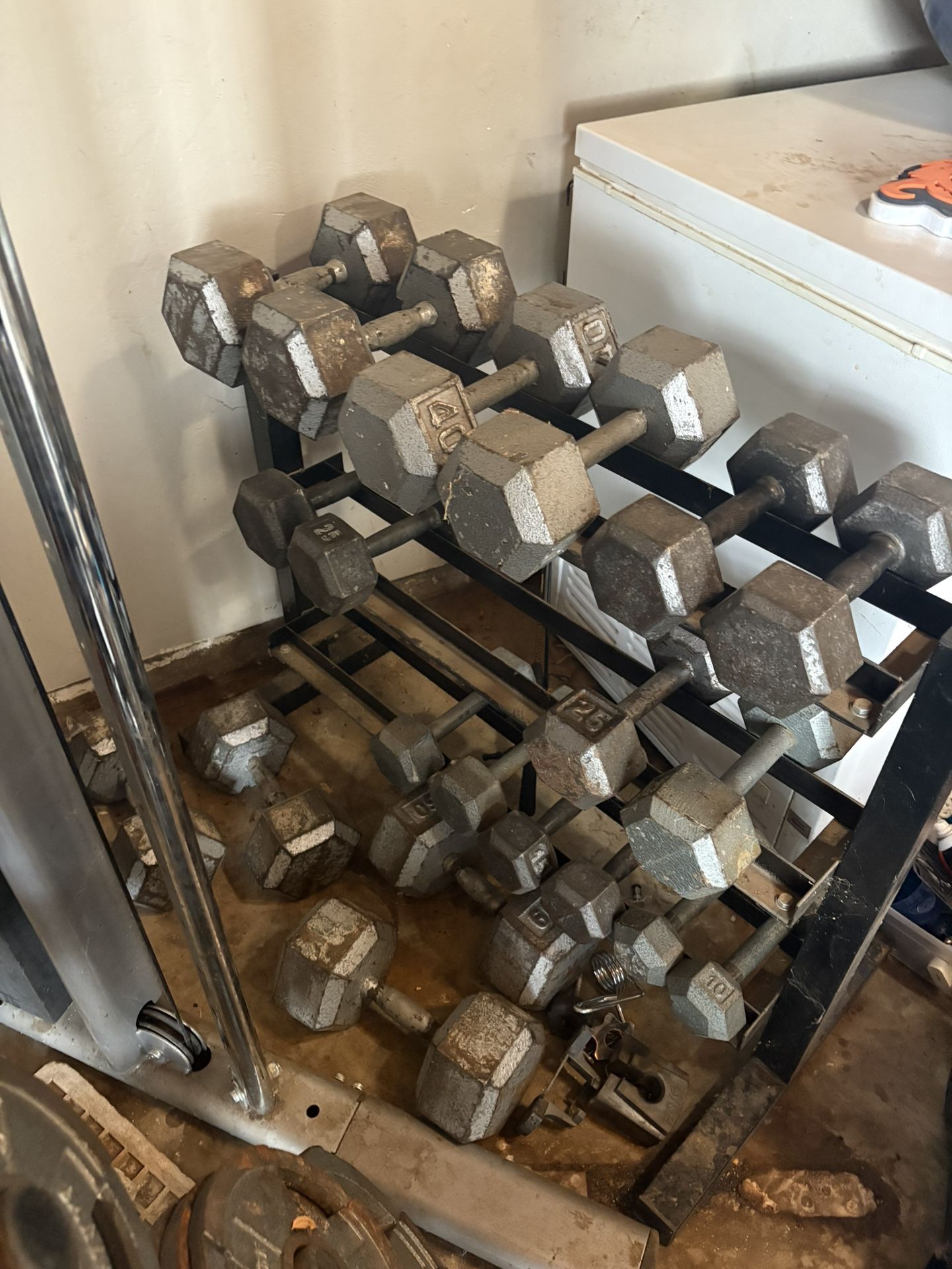 Dumbbell Weights