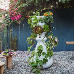 Lettuce Grow 36 Plant Hydroponic Farm Stand