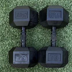 75 LB Rubber Hex Dumbbells 