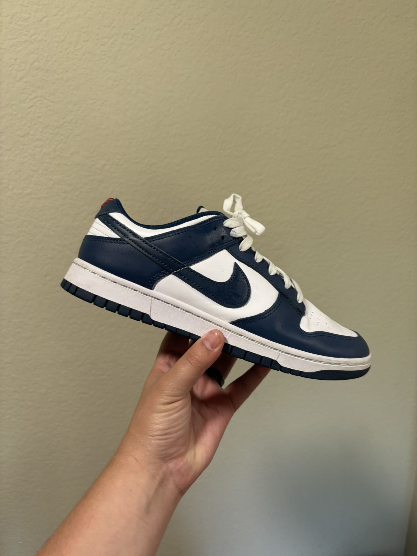 Nike Dunk Low Valarian