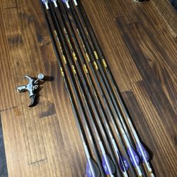 Gold tip Velocity Pro 340 