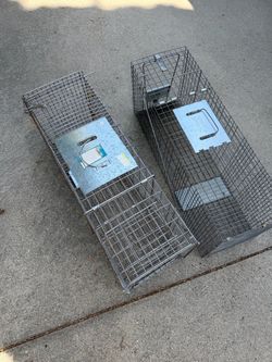 Animal Trap