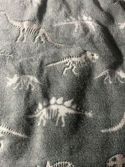 Baby Boy Cute Dinosaur Throw Blanket 