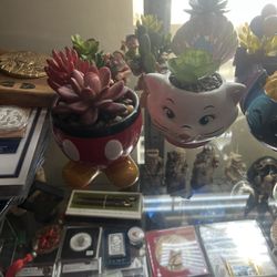 A Lot Of Plants 
