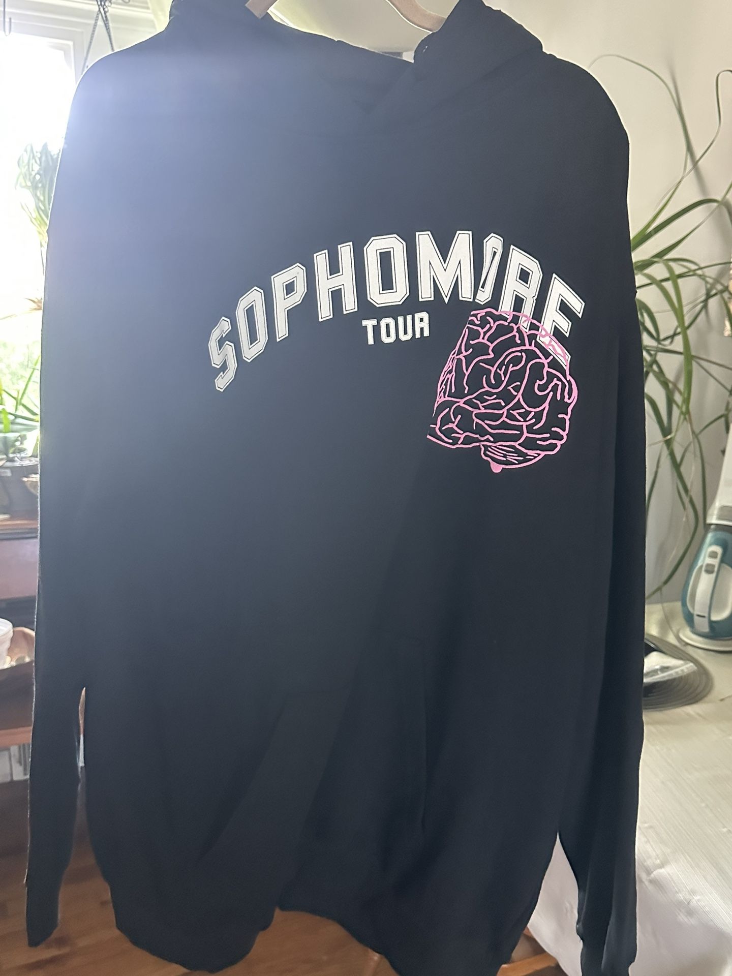 Young Genius Academy Sophomore Tour Hoodie