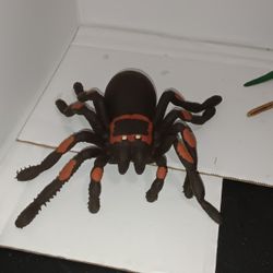 Imperial Toys Black Spider