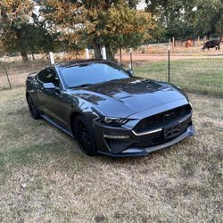 2019 Ford Mustang