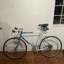 Schwinn 1989 race bike 