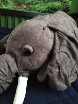 Stuffed animal