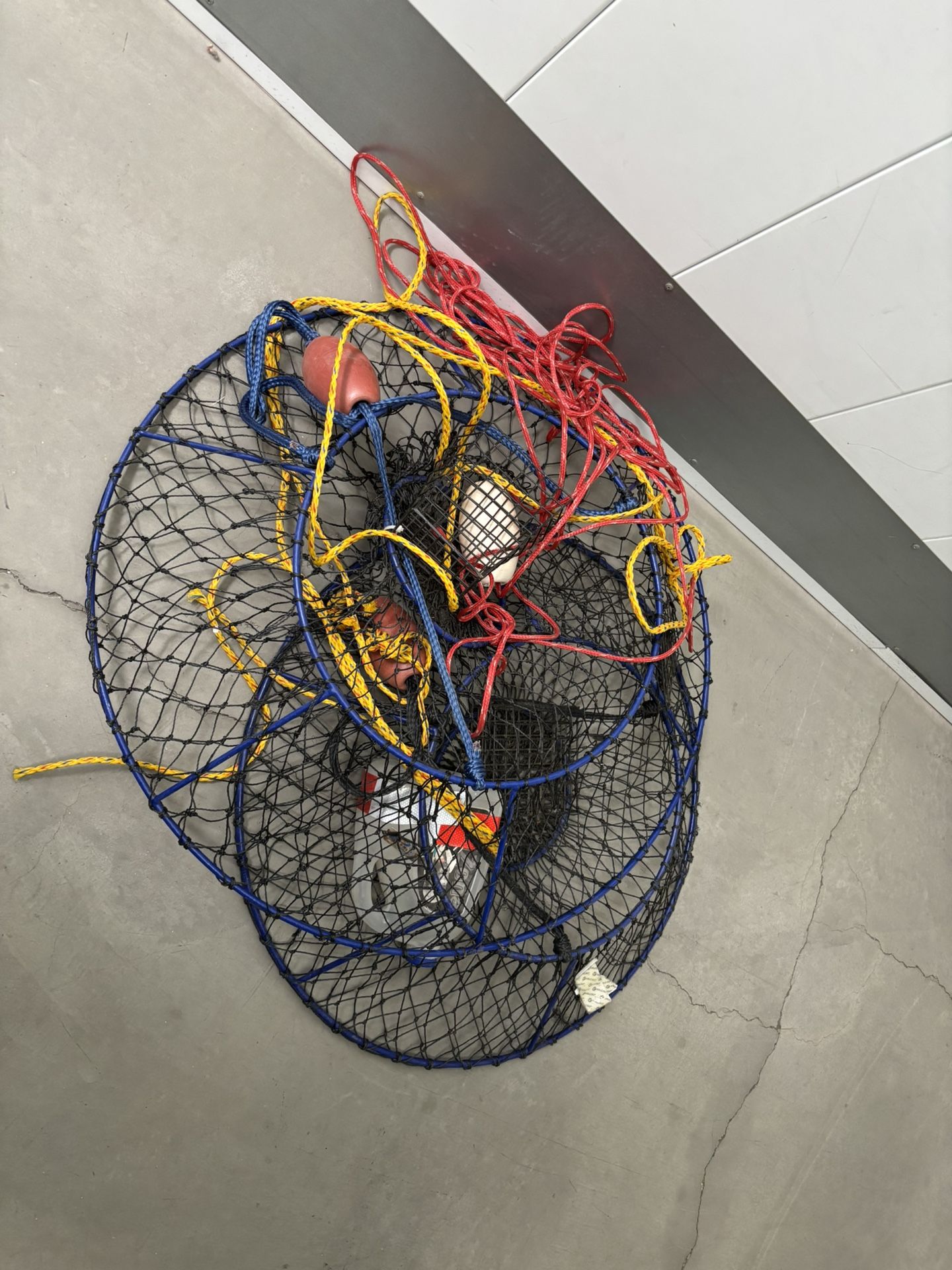 2     36” Lobsters Traps 