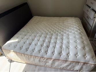 Saatva RX King mattress new