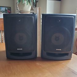 Aiwa 12-inch Speakers