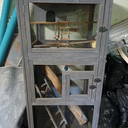 Bird Cage