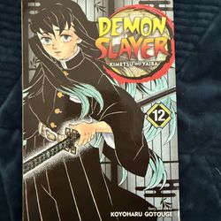 Demon Slayer #12 Manga