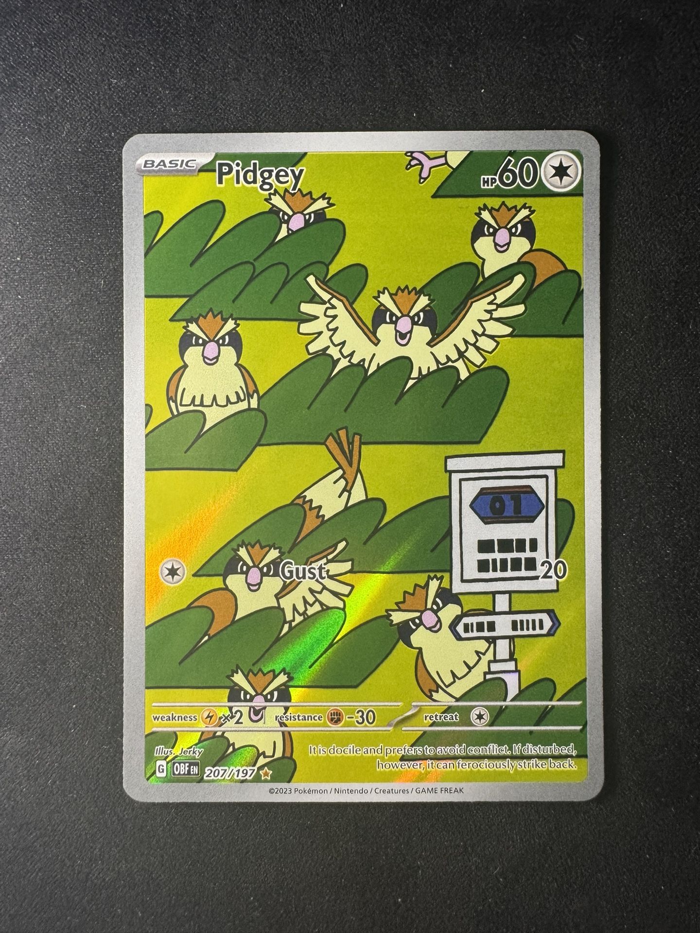 Pokemon Card