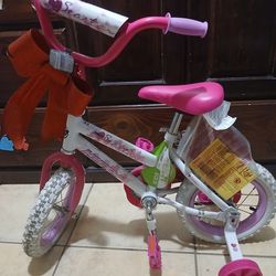 40 bike for girls