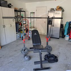 Squat Bar With Weights And Bench
