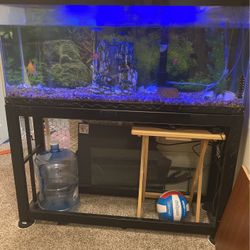 Full Fish Tank 