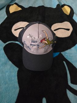 Disney Parks Peter Pan  Hat