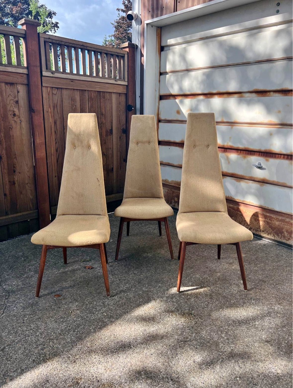 Mid Century Modern Dining Chairs