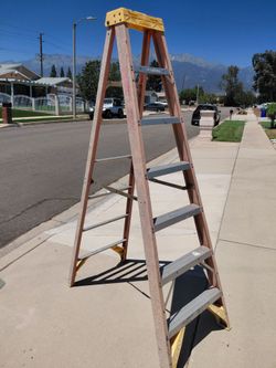 7' Wagner ladder
