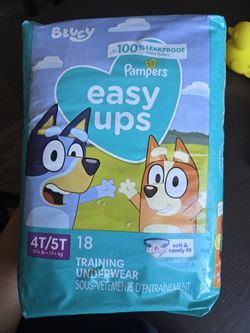 4T/5T Training Underwear