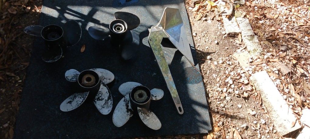 Anchorlift Pro Anchor 22lbs