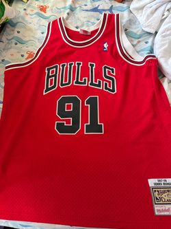 Bulls Rodman