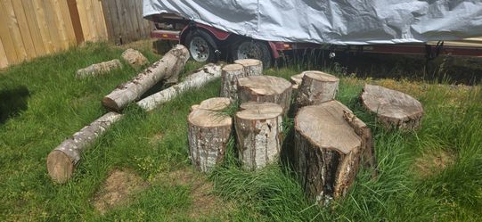 Free wood