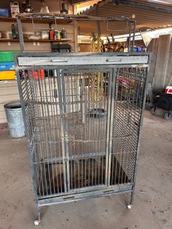Bird cage