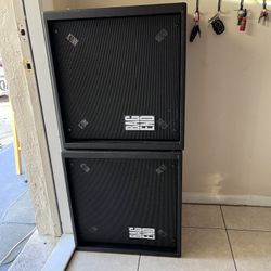 2 Passive Subwoofers 