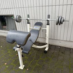 Weight Bench And Weights 