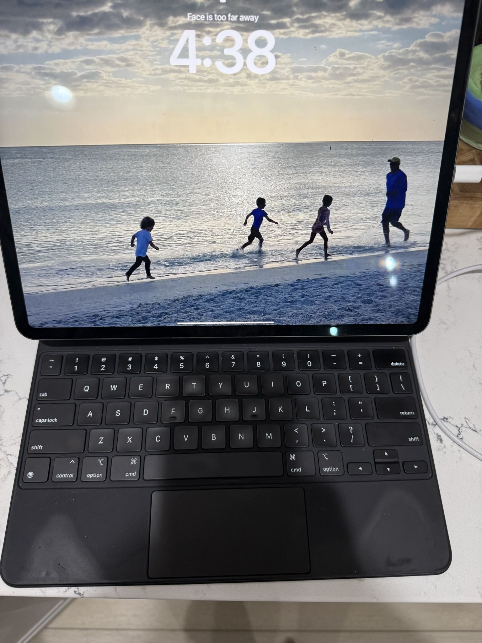 iPad Pro 12.9” (4th Gen, WiFi + Cellular)