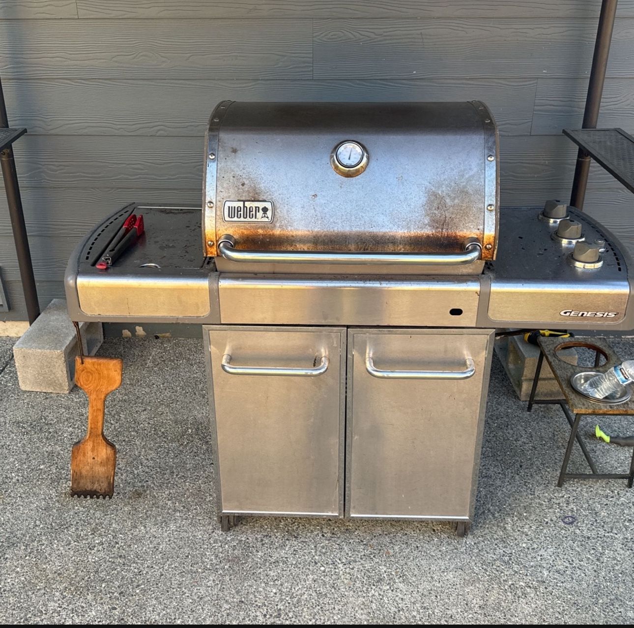 Weber Genesis