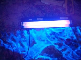 T8 Fluorescent Light Fixture With Black Bulb