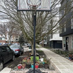  Lifetime Portable Basketball Hoop