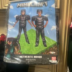Minecraft Costume Size 10-12 
