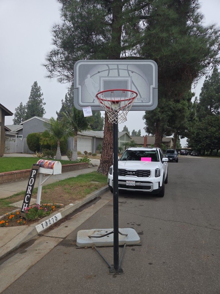 Basket Ball Hoop