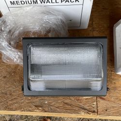Exterior wall light