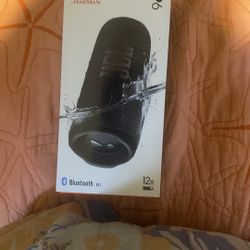 JBL flip 6 