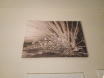Canvas Art 
