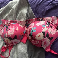 Torrid Bras