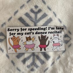Cat Themed Bumper Magnet For Car