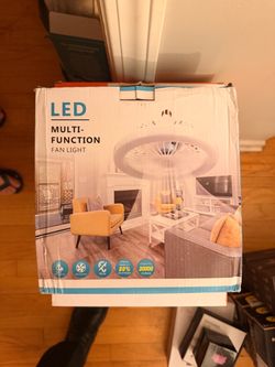 Light fan